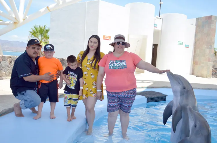 Reanuda actividades Delfinario