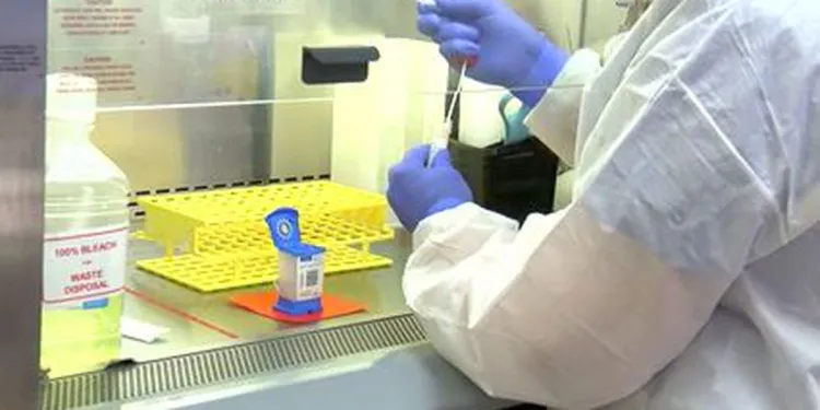 Sigue Arizona cerca de mil contagios