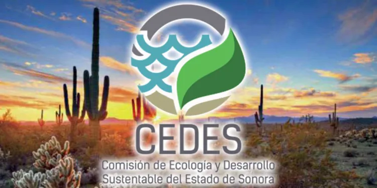 Convocan a proyectos ambientalistas