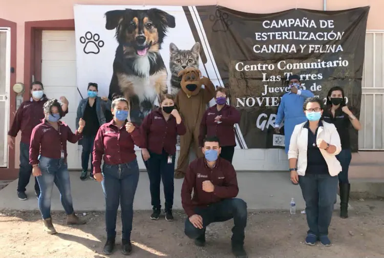 Coordinan Municipio y Estado exitosa campaña de esterilización