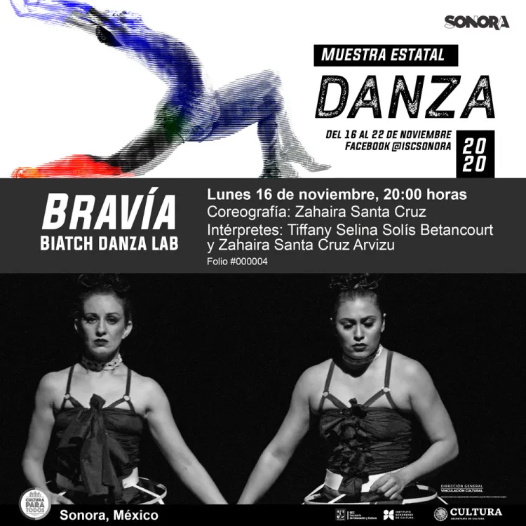 Invitan a disfrutar la danza en línea