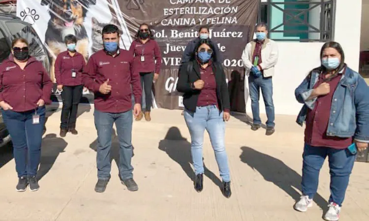 Continúan campañas de esterilización de mascotas