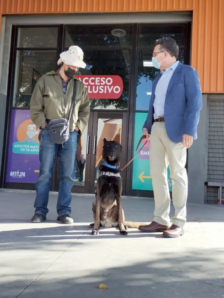Inician pruebas Covid-19 a través de agentes caninos