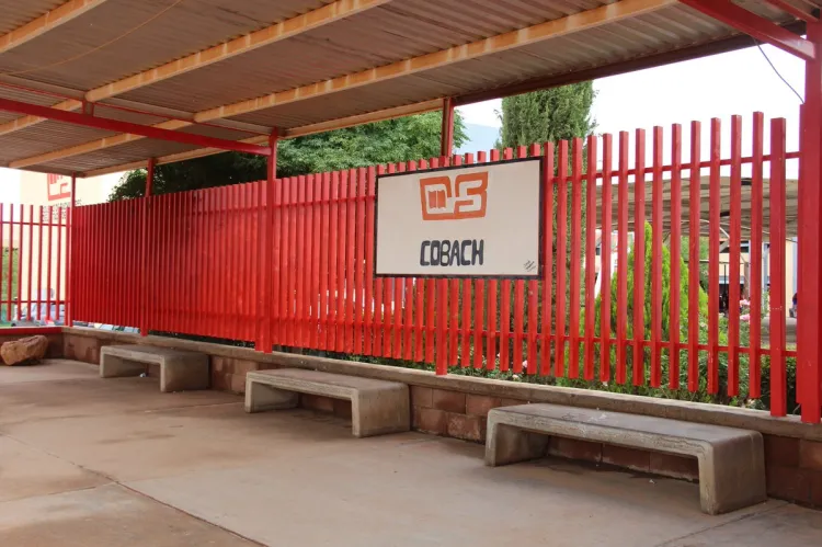 Programa
Cobach entrega de módulos para alumnos