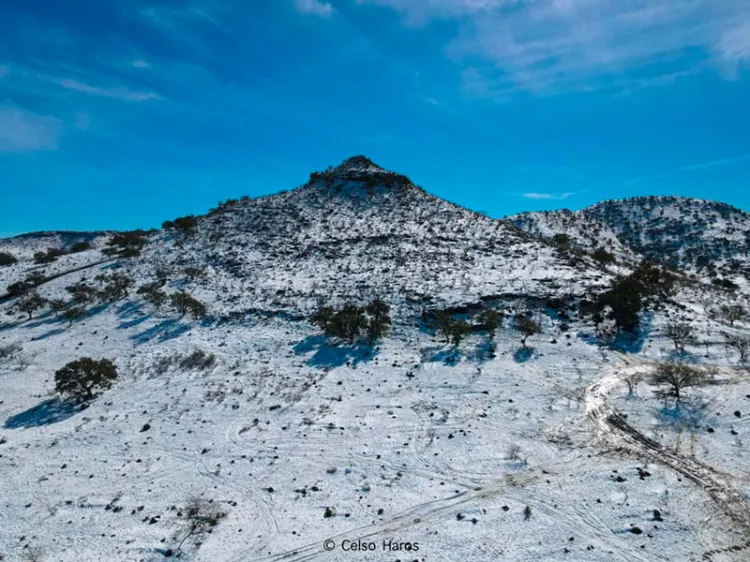 Necesaria compra del Centauro se pueden ahorrase 53.8 MDP