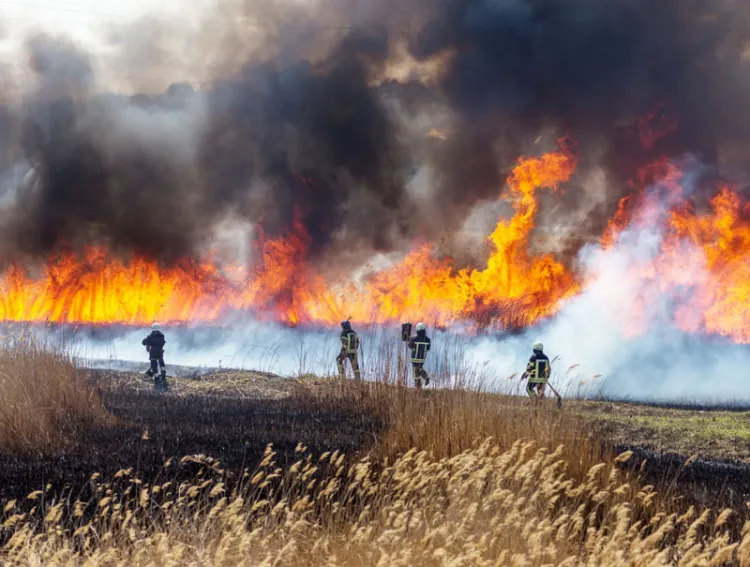Alertan por temporada de incendios forestales