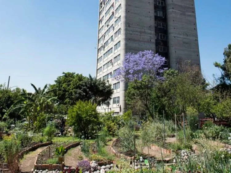 Huertos urbanos, alternativas contra el calor de las ciudades