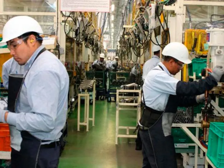 Debe seguir empleo a la alza