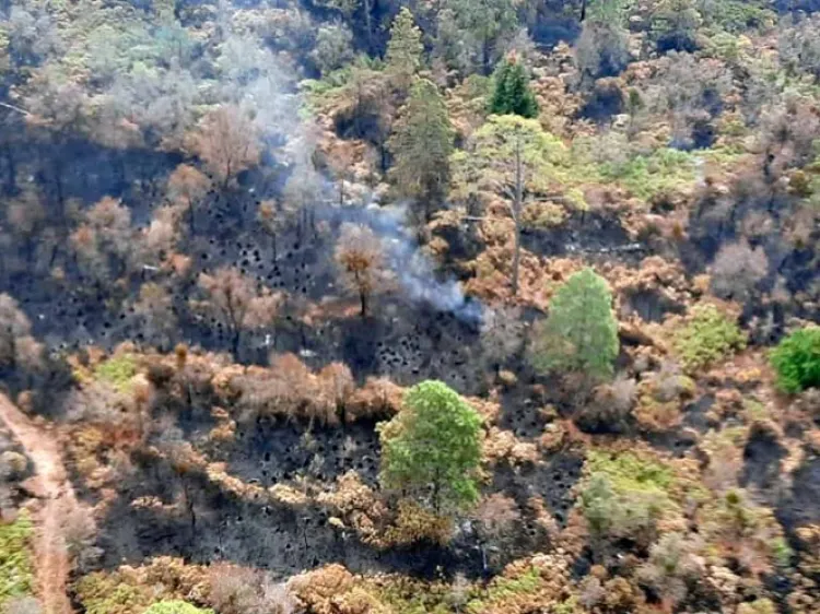 Liquidan en un 90% incendio en El Tepozteco