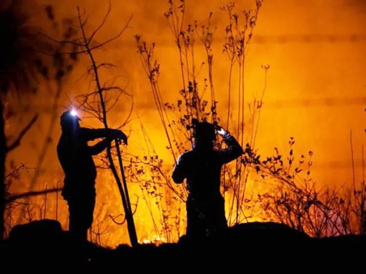 Contabilizan 92 incendios forestales en México