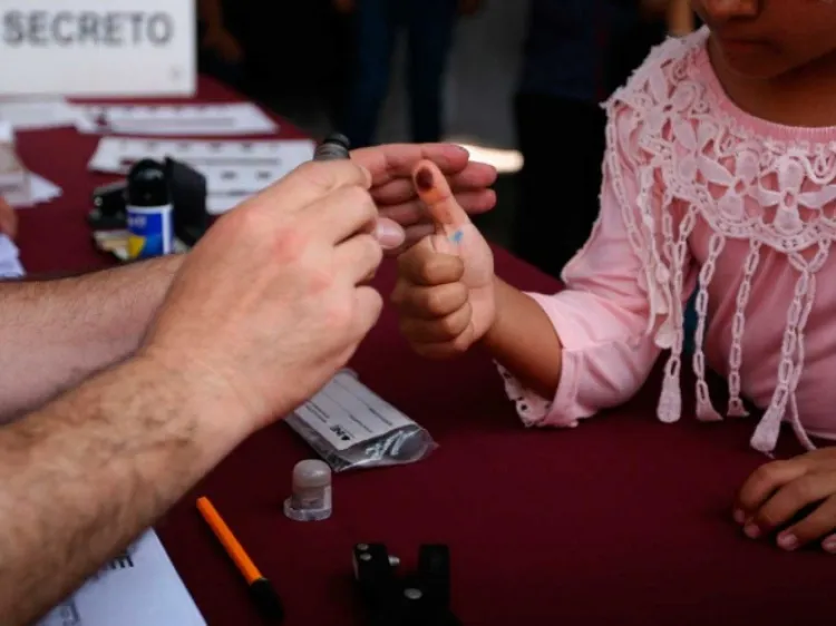 Analiza INE cómo garantizar Consulta Popular en agosto