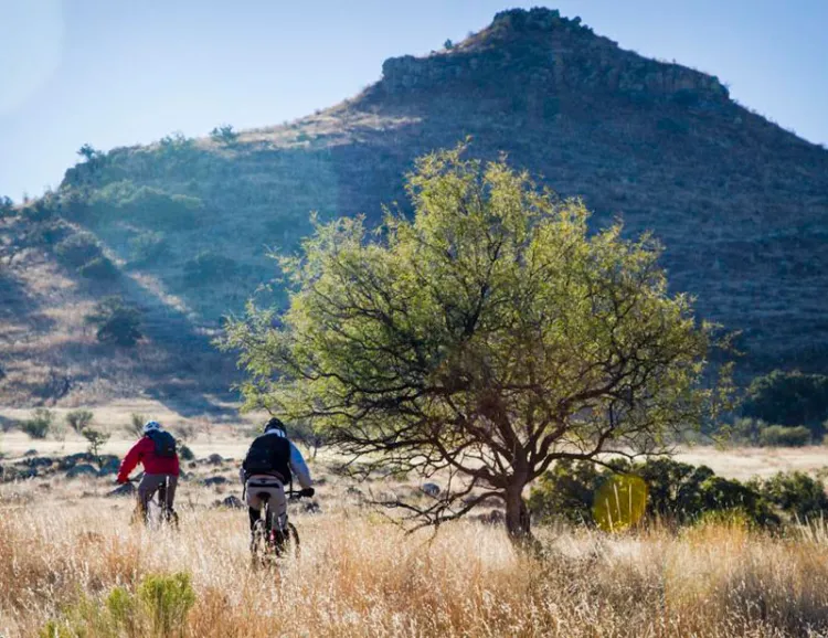 Dictaminan regidores a favor del Centauro