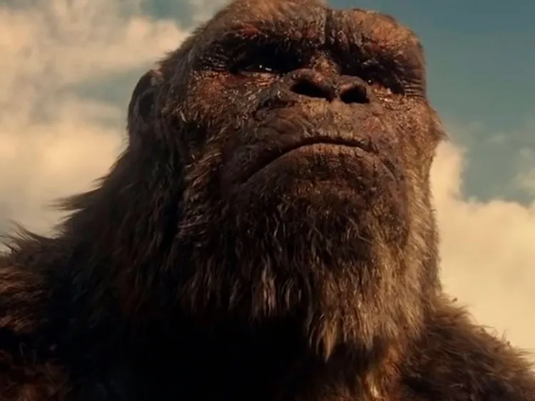 Escuchan a los fans y ya preparan secuela de Godzilla vs Kong