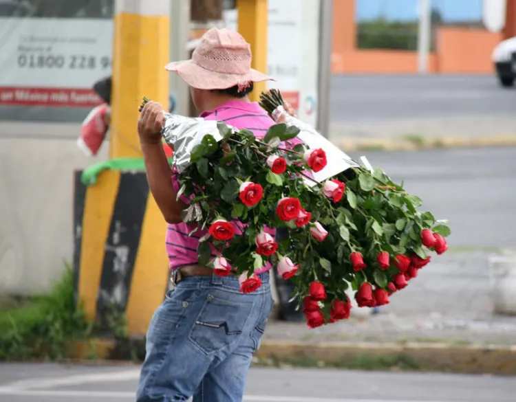 Evitarán competencia desleal entre floristas