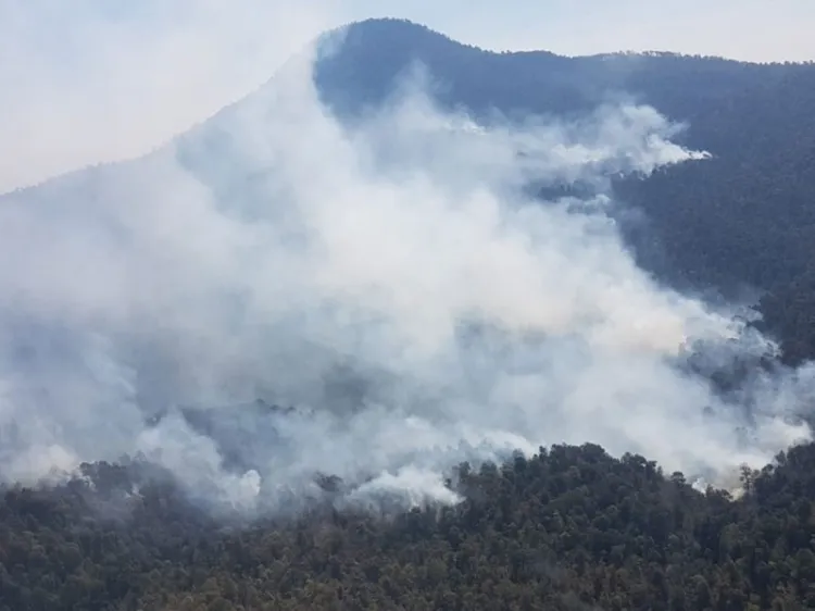 ¡Alertan! Incendio en Cerro de la Cruz está fuera de control