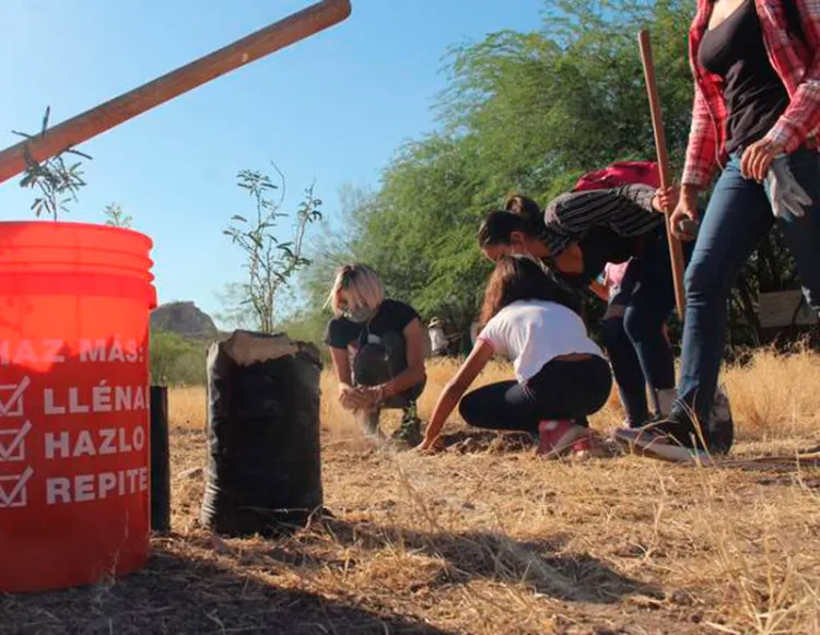 Realizan jornadas de limpieza en La Sauceda