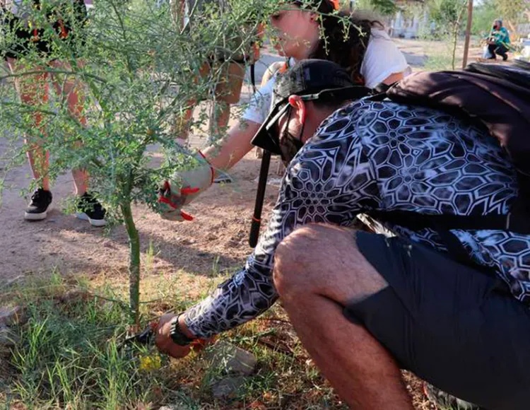 Imparten taller para cuidar Árboles nativos