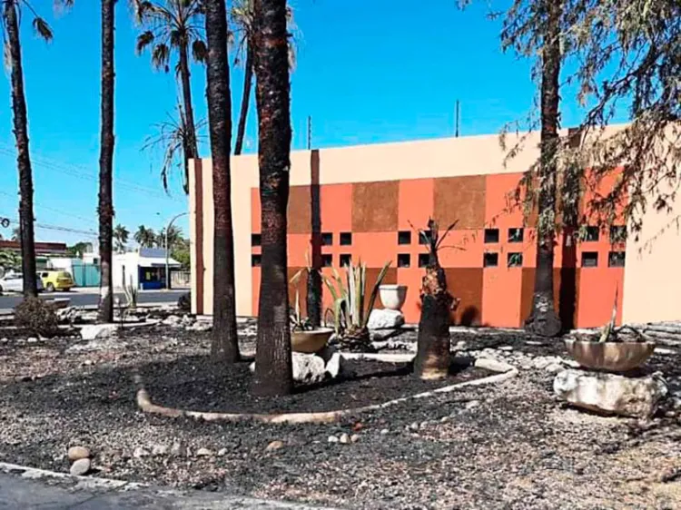 Analiza Unison interponer denuncia por incendio