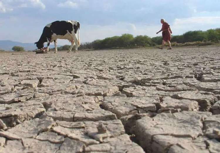 Solicita Congreso enfrentar sequía