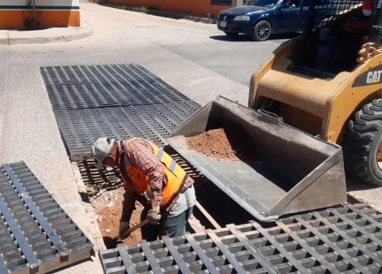 Dan seguridad a paso de vehículos