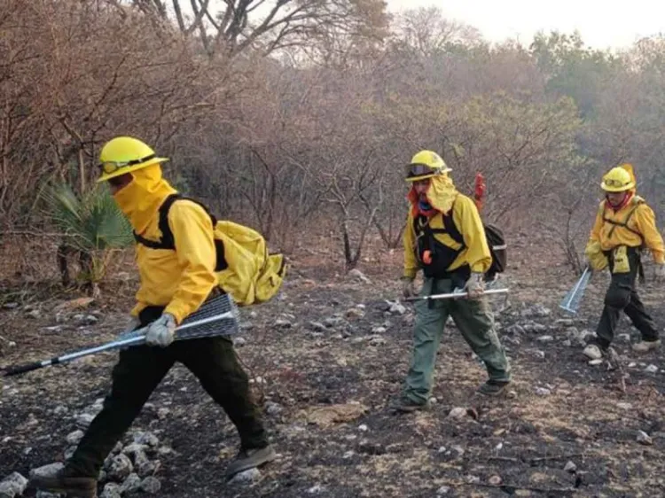¡Arde Durango! Registra 21 incendios forestales activos