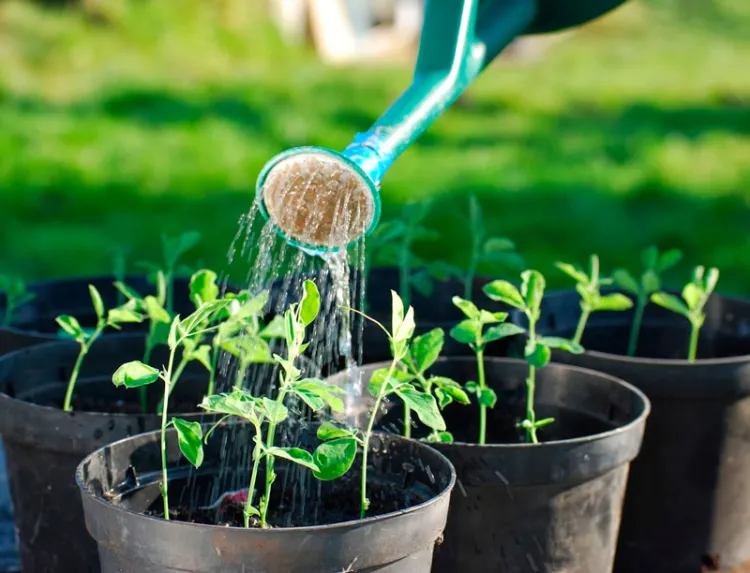 Invitan a reciclar agua de uso común