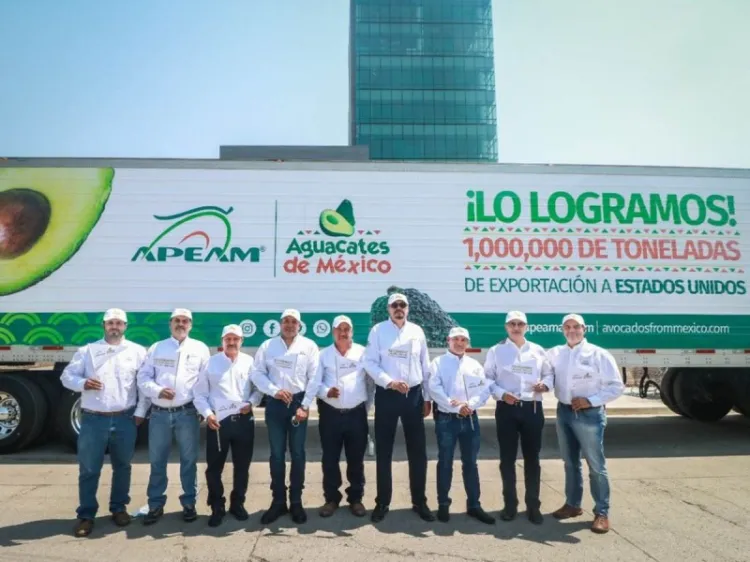 Aumenta exportación de aguacate mexicano; rompe récord de envíos a EU