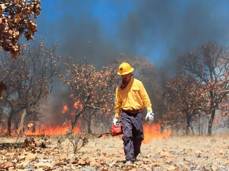 Llama Conafor evitar incendios forestales