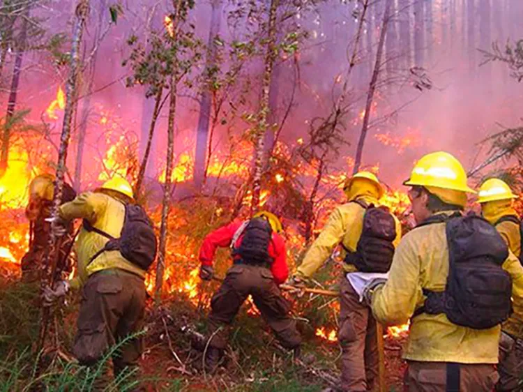 Aumentan incendios forestales