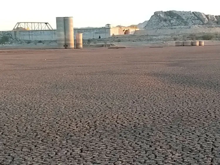 “Difícil predecir periodicidad y extensión de las sequías”