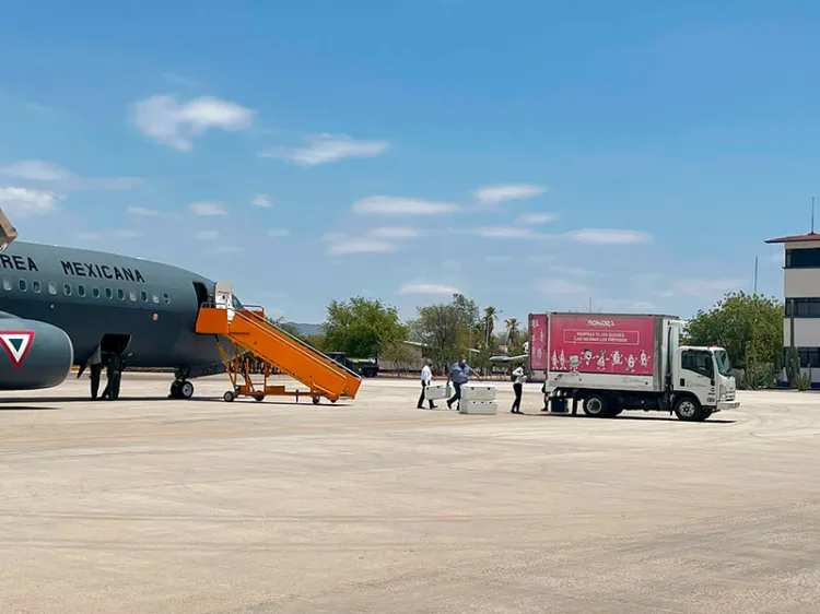 Llegan más vacunas a Sonora