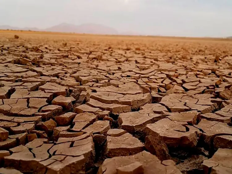 Aumentará temperatura tres grados el cambio climático