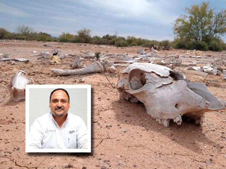 Preocupa situación de sequía