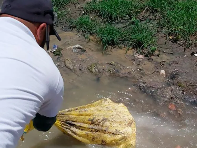 Aplican cloro a PTAR y evitan contaminación