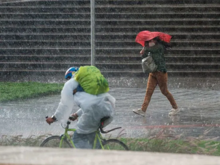 Lluvias aplacan la sequía que ha afectado a casi todo el país
