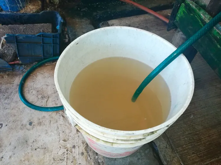Aclara Oomapas sobre aguas turbias en tuberías