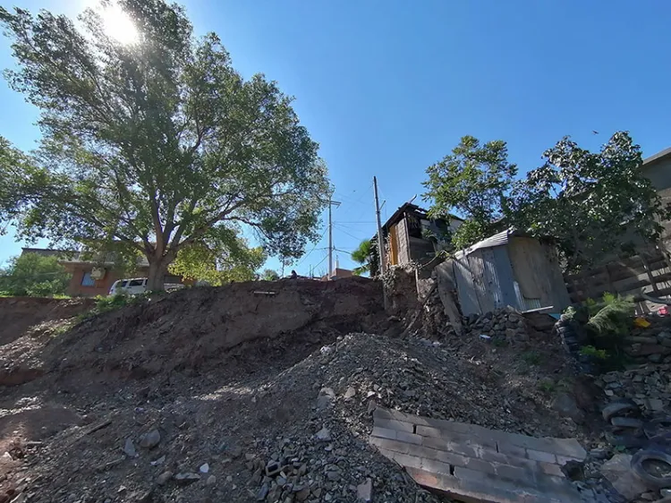 Denuncian invasión de área  verde y derribo de árboles