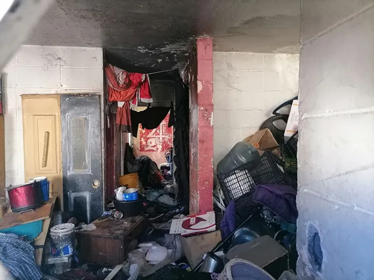 Invaden ratas el Infonavit