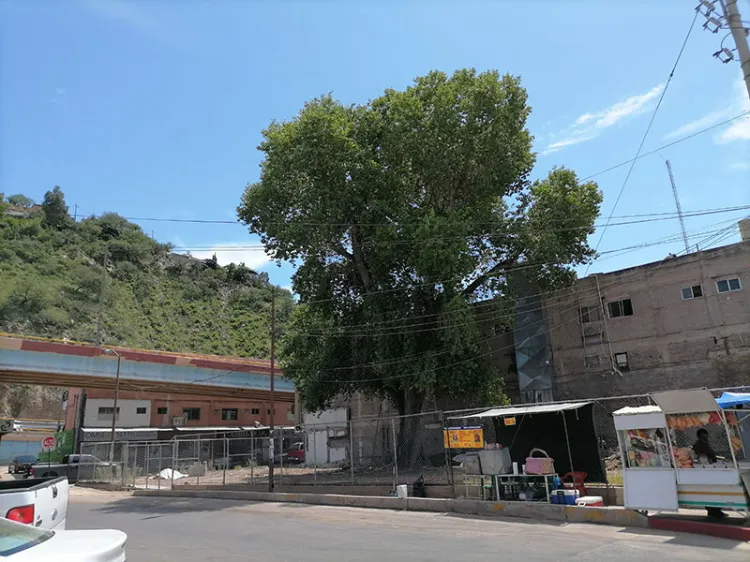 Respetará negocio el Álamo de Obregón y Díaz