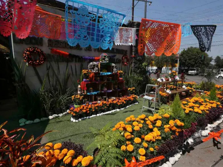 Mejora venta de flor de cempasúchil