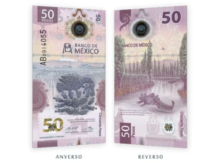 Morelos se va del billete de 50 pesos; el ajolote es ahora el protagonista