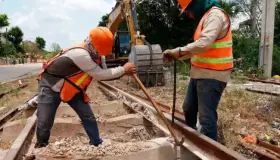 Piden ambientalistas derogar Acuerdo que busca agilizar obras del gobierno