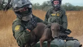 Realiza Patrulla Fronteriza varias acciones en Arizona