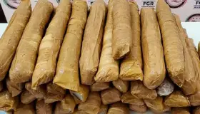 Detienen a dos con más de 300 mil pastillas de fentanilo