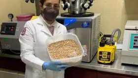 Investiga IPN beneficios de las propiedades del garbanzo contra cáncer de colon