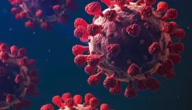 Reporta Salud mil casos de Covid en 48 horas