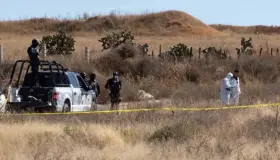 Domingo violento, se registran 96 asesinatos