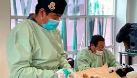 Esterilizan a cien mascotas en campaña de castración