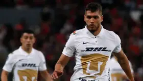 La regularidad, el desafío de Pumas