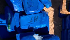 Decomisa FGR Autos, drogas y una aeronave en una semana